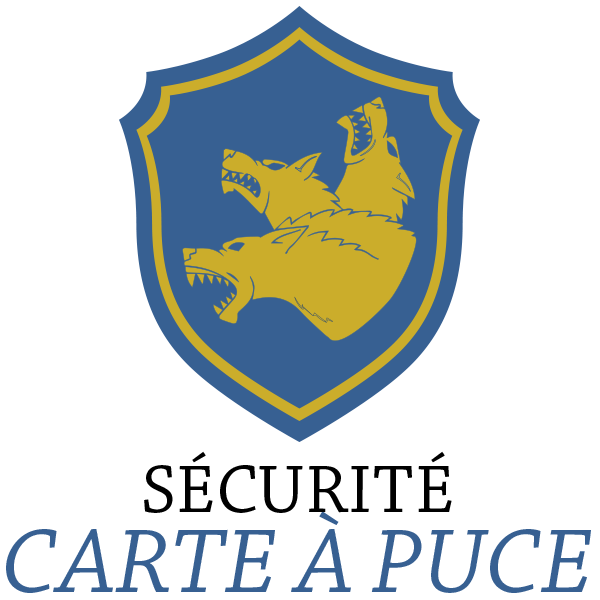 SSE Carte à Puce